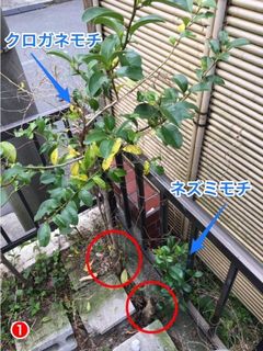 IMG_1935.jpgのサムネイル画像