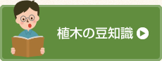 植木の豆知識